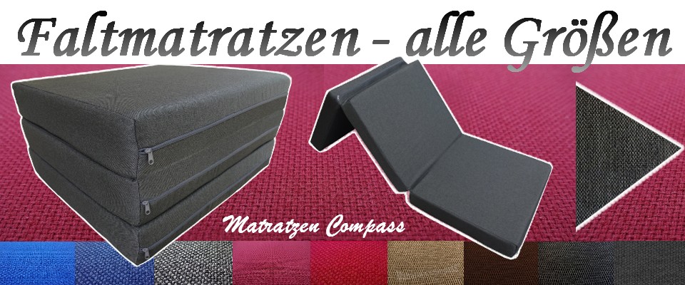 EVERGREENWEB Faltbare Matratze 120x190 cm 10 Hoch aus Polyurethan  Kaltschaum für Bettcouch Hypoallergener Weißer Bezug, Orthopädisch  Ergonomisch mit Befestigungsbänder Mittlerer Härtegrad