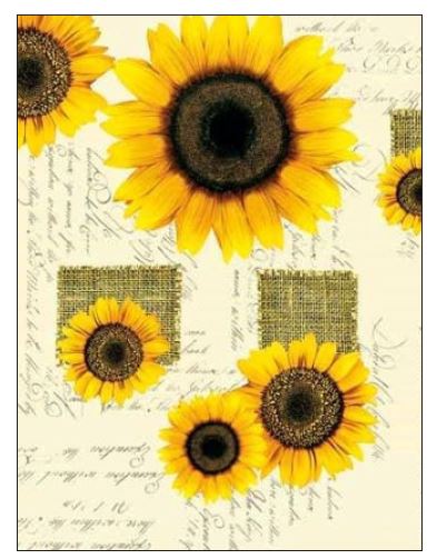 Lugana-C440-1_20-04-18 WACHSTUCH Lugana Sonnenblume